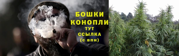 крисы Бронницы