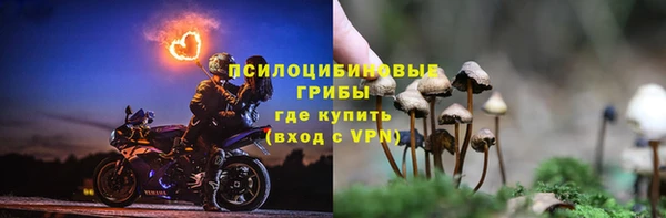mdpv Богданович