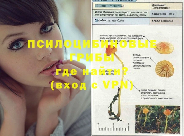 сатива Бугульма
