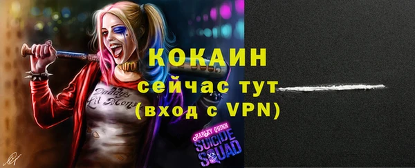 крисы Бронницы