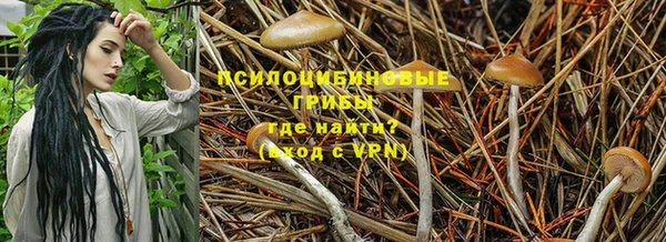 крисы Бронницы