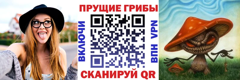 сколько стоит  Ставрополь  Псилоцибиновые грибы MAGIC MUSHROOMS 
